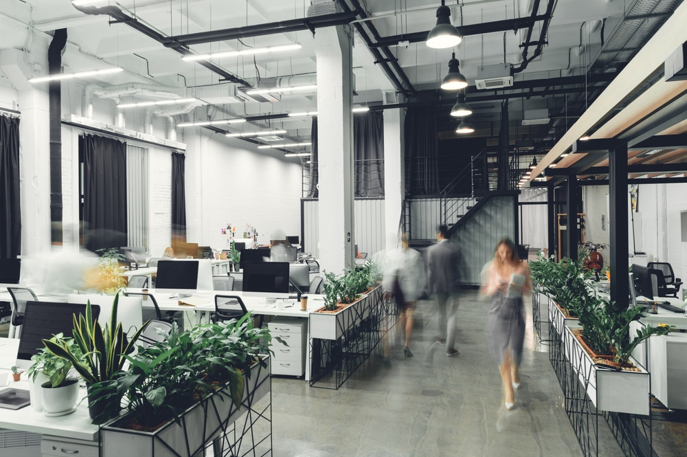 גור רהוט משרדי בע\"מ