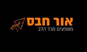 אור חבס- שיפוצים